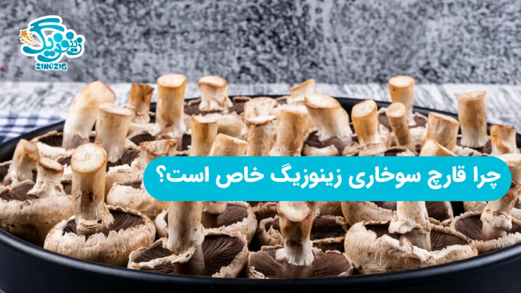 چرا قارچ سوخاری زینوزیگ خاص است؟